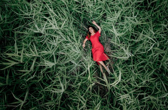 movies-post-in-the-green-field-teaser.jpg
